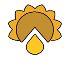 Ramin Sadat